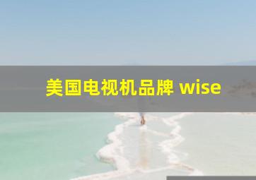 美国电视机品牌 wise